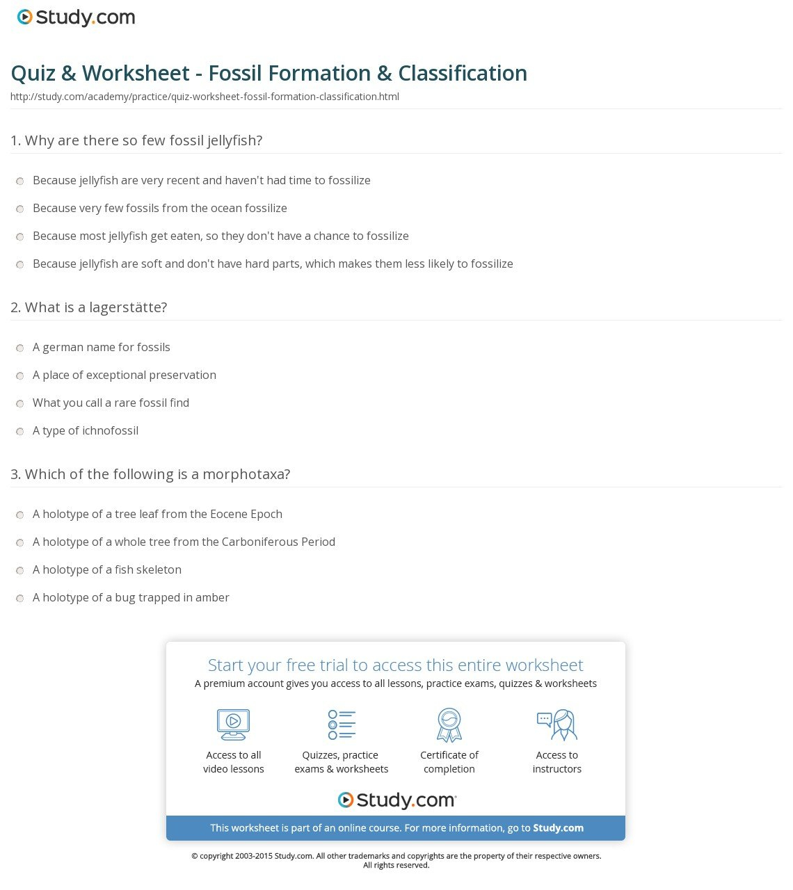 Quiz  Worksheet  Fossil Formation  Classification  Study With Regard To Fossil Formation Worksheet