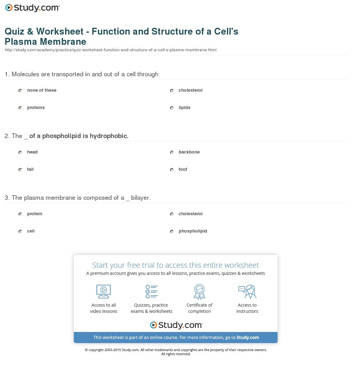 Quiz  Worksheet  Function And Structure Of A Cell's Plasma As Well As Cell Membrane Worksheet