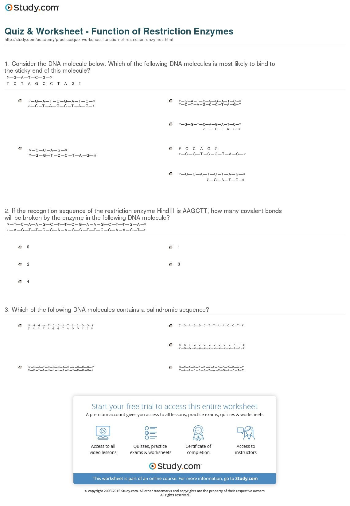 Quiz  Worksheet  Function Of Restriction Enzymes  Study Along With Restriction Enzyme Worksheet