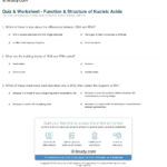 Quiz  Worksheet  Function  Structure Of Nucleic Acids  Study Regarding Nucleic Acids Worksheet