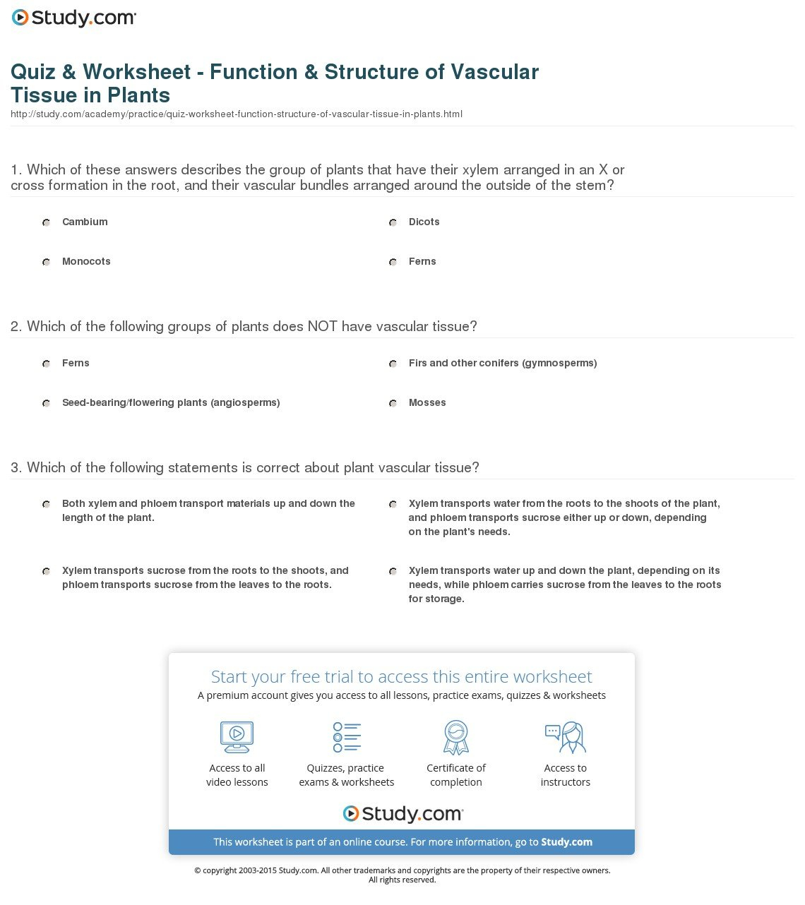 Quiz  Worksheet  Function  Structure Of Vascular Tissue In Plants For Plant Structure And Function Worksheet