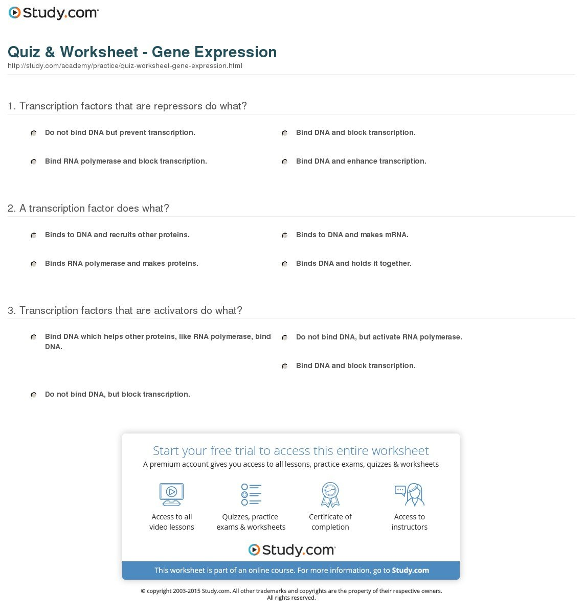 Quiz  Worksheet  Gene Expression  Study With Gene Regulation And Expression Worksheet Answers