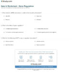 Quiz  Worksheet  Gene Regulation  Study Also Gene Regulation And Expression Worksheet Answers