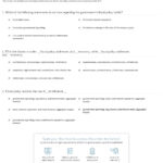 Quiz  Worksheet  Government Spending And Taxes As Fiscal Policy In Taxation Worksheet Answers