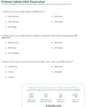 Quiz  Worksheet  How Dna Polymerase And Rna Primase Initiate Dna Throughout Dna Replication Worksheet
