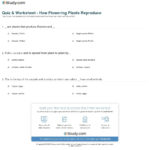 Quiz  Worksheet  How Flowering Plants Reproduce  Study As Well As Plant Reproduction Worksheet