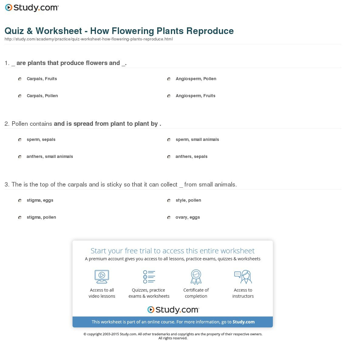 Quiz  Worksheet  How Flowering Plants Reproduce  Study As Well As Plant Reproduction Worksheet
