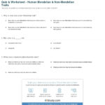Quiz  Worksheet  Human Mendelian  Nonmendelian Traits  Study Along With Mendelian Genetics Worksheet