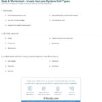 Quiz  Worksheet  Innate Immune System Cell Types  Study Within Cells Of The Immune System Student Worksheet Answers