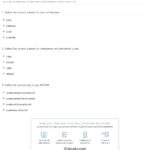 Quiz  Worksheet  Learning Big Numbers In Spanish  Study Along With Learning Spanish Worksheets For Adults