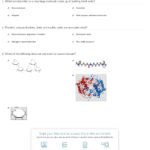 Quiz  Worksheet  Macromolecules  Study As Well As Macromolecules Worksheet Answers