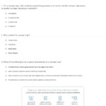 Quiz  Worksheet  Making A Concept Map  Study In Skills Worksheet Concept Mapping Answers