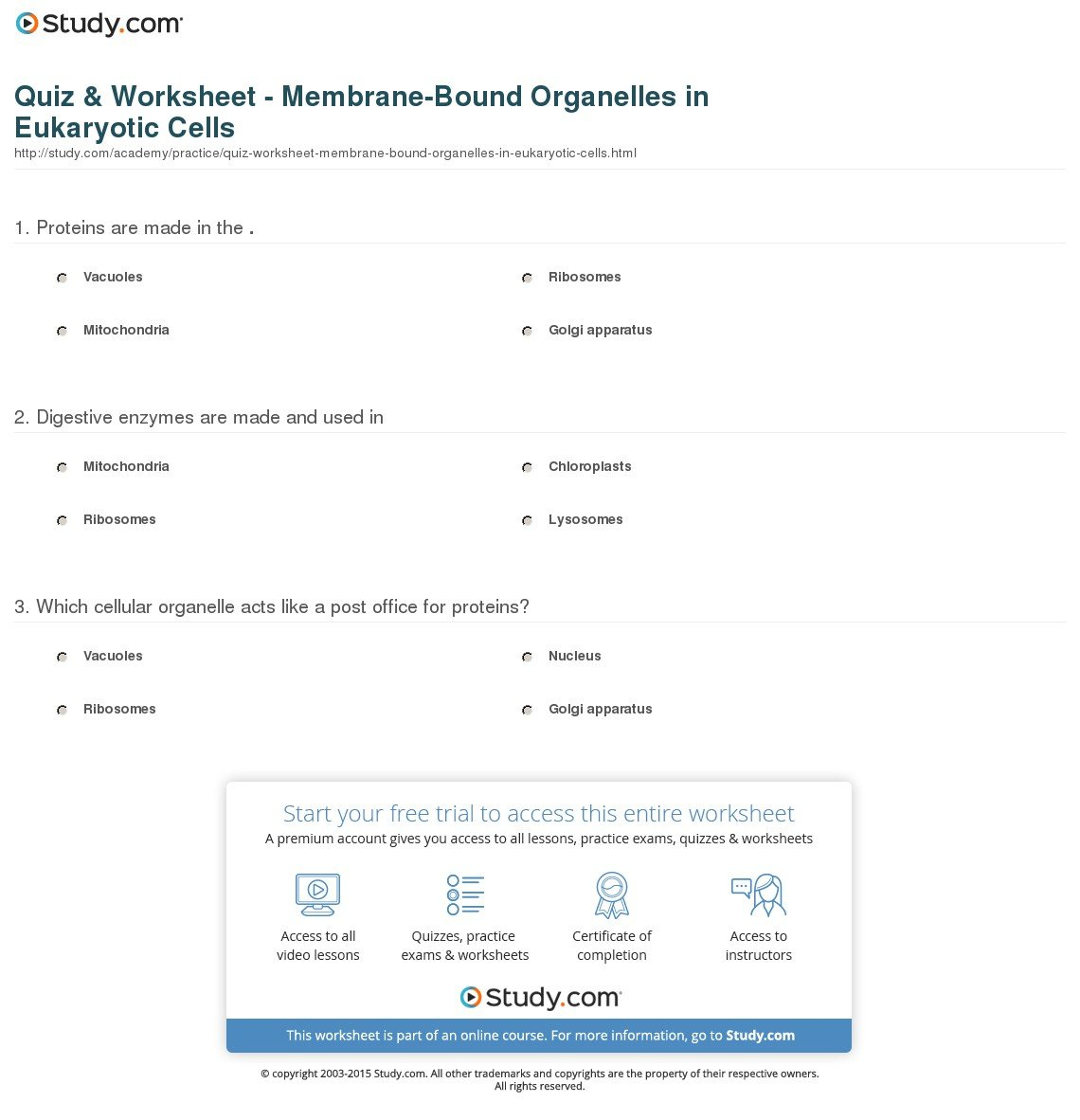 Quiz  Worksheet  Membranebound Organelles In Eukaryotic Cells Inside Organelles In Eukaryotic Cells Worksheet