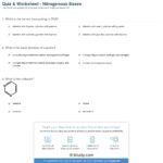 Quiz  Worksheet  Nitrogenous Bases  Study With Dna Base Pairing Worksheet Answers