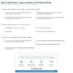 Quiz  Worksheet  Organ Systems Of The Human Body  Study Intended For Circulatory System Study Questions Worksheet