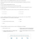 Quiz  Worksheet  Oswald Avery's Contributions To Dna  Study Along With Dna Mutations Practice Worksheet Conclusion Answers