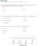 Quiz  Worksheet  Parts And Uses Of The Compound Microscope  Study Along With Measuring With A Microscope Worksheet