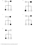 Quiz  Worksheet  Pedigree Analysis Practice  Study For Genetics Pedigree Worksheet