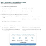 Quiz  Worksheet  Photosynthesis Process  Study Also Photosynthesis Worksheet Middle School