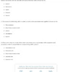 Quiz  Worksheet  Plant Tissue Compartments  Study Throughout Tissue Worksheet Answers