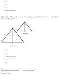 Quiz  Worksheet  Proportional Triangles  Study In Health Triangle Worksheet