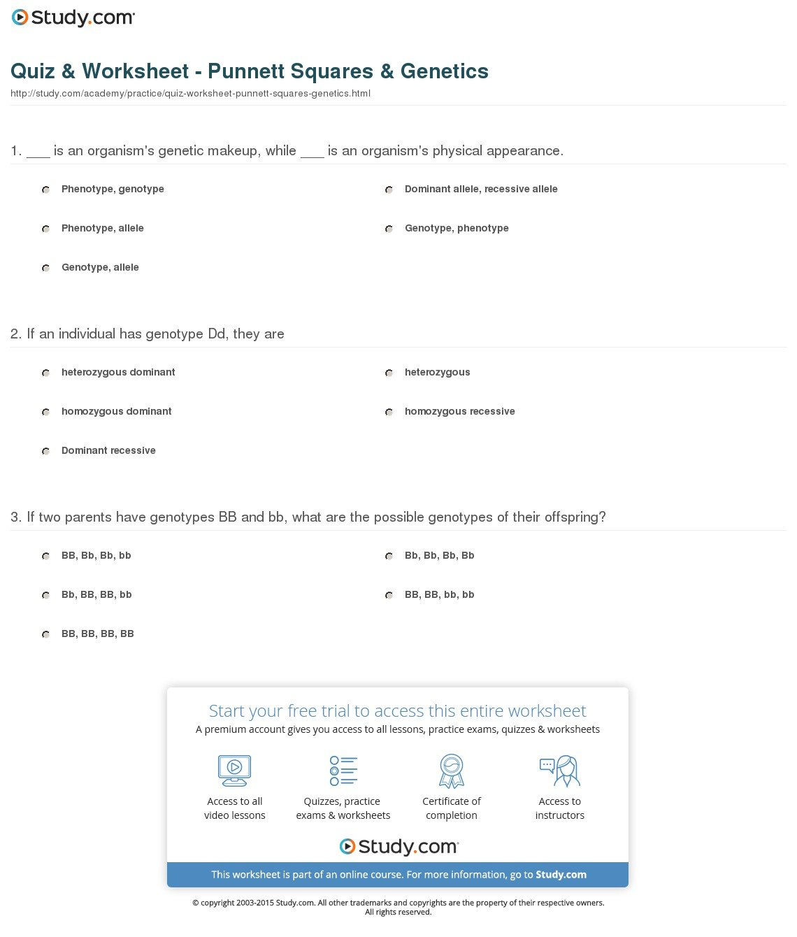 Quiz  Worksheet  Punnett Squares  Genetics  Study Throughout Genetics Worksheet Answer Key