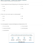 Quiz  Worksheet  Respiratory System Doctors  Study With Respiratory System Medical Terminology Worksheet