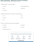 Quiz  Worksheet  Ribosome Structure  Function  Study In Chapter 4 Cell Structure And Function Worksheet Answers