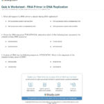 Quiz  Worksheet  Rna Primer In Dna Replication  Study For Dna Replication Practice Worksheet