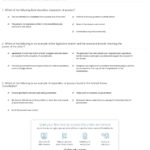 Quiz  Worksheet  Separation Of Powers  Study Pertaining To Power To A Power Worksheet