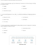 Quiz  Worksheet  Stages Of Bereavement  Grief  Study Together With Grief And Loss Worksheets For Adults