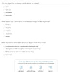 Quiz  Worksheet  Stages Of Change  Study Within Stages Of Change In Recovery Worksheets