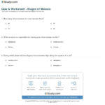 Quiz  Worksheet  Stages Of Meiosis  Study As Well As Phases Of Meiosis Worksheet