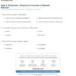 Quiz  Worksheet  Structure  Function Of Genetic Material  Study With Dna Structure And Function Worksheet