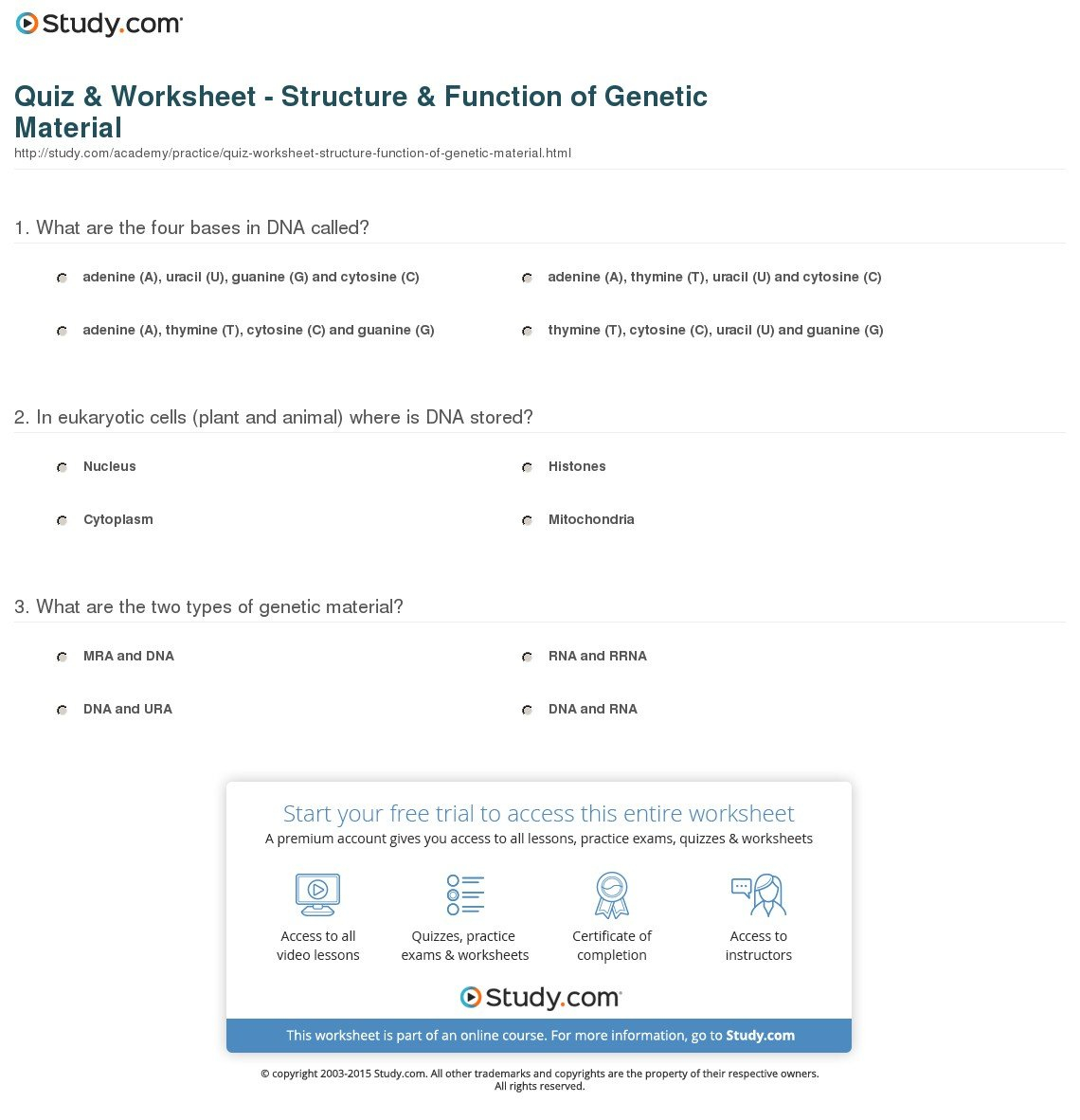 Quiz  Worksheet  Structure  Function Of Genetic Material  Study With Dna Structure And Function Worksheet