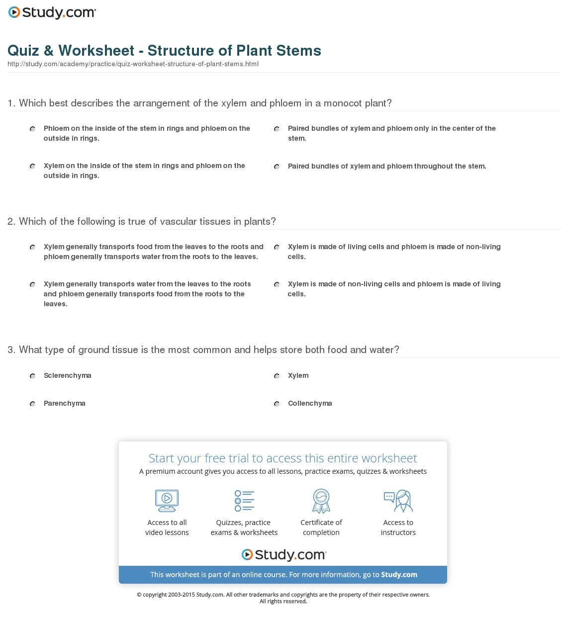 Quiz  Worksheet  Structure Of Plant Stems  Study As Well As Plant Structure And Function Worksheet