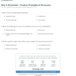 Quiz  Worksheet  Taxation Principles  Structures  Study With Worksheet For Taxes