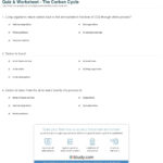 Quiz  Worksheet  The Carbon Cycle  Study As Well As Carbon Cycle Worksheet