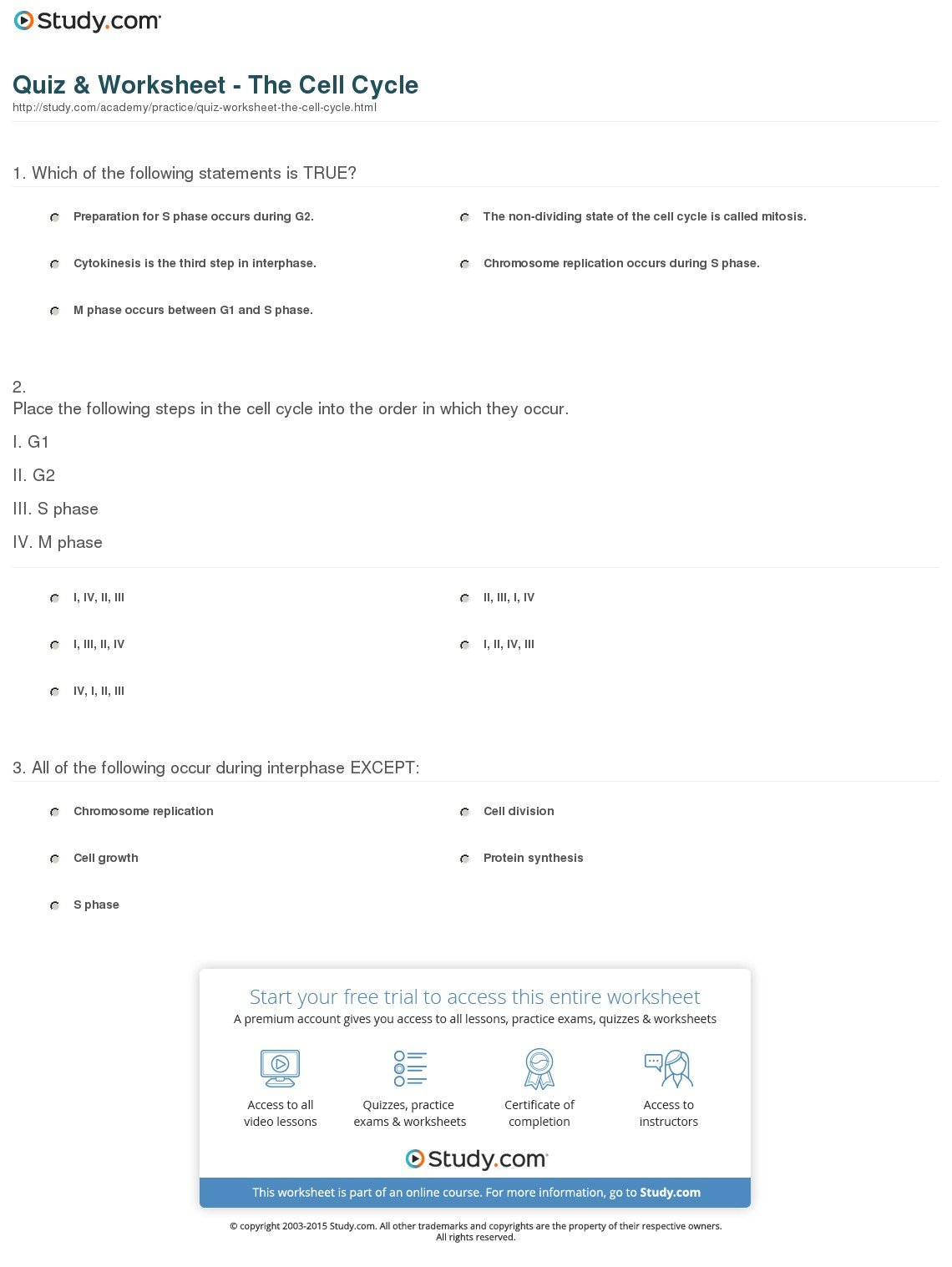 Quiz  Worksheet  The Cell Cycle  Study Within Cell Cycle Practice Worksheet