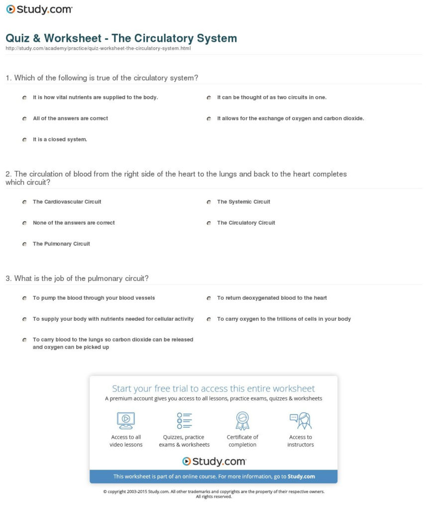 quiz-worksheet-the-circulatory-system-study-for-circulatory-and