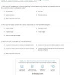 Quiz  Worksheet  The Financial Planning Process  Study Also Will Planning Worksheet