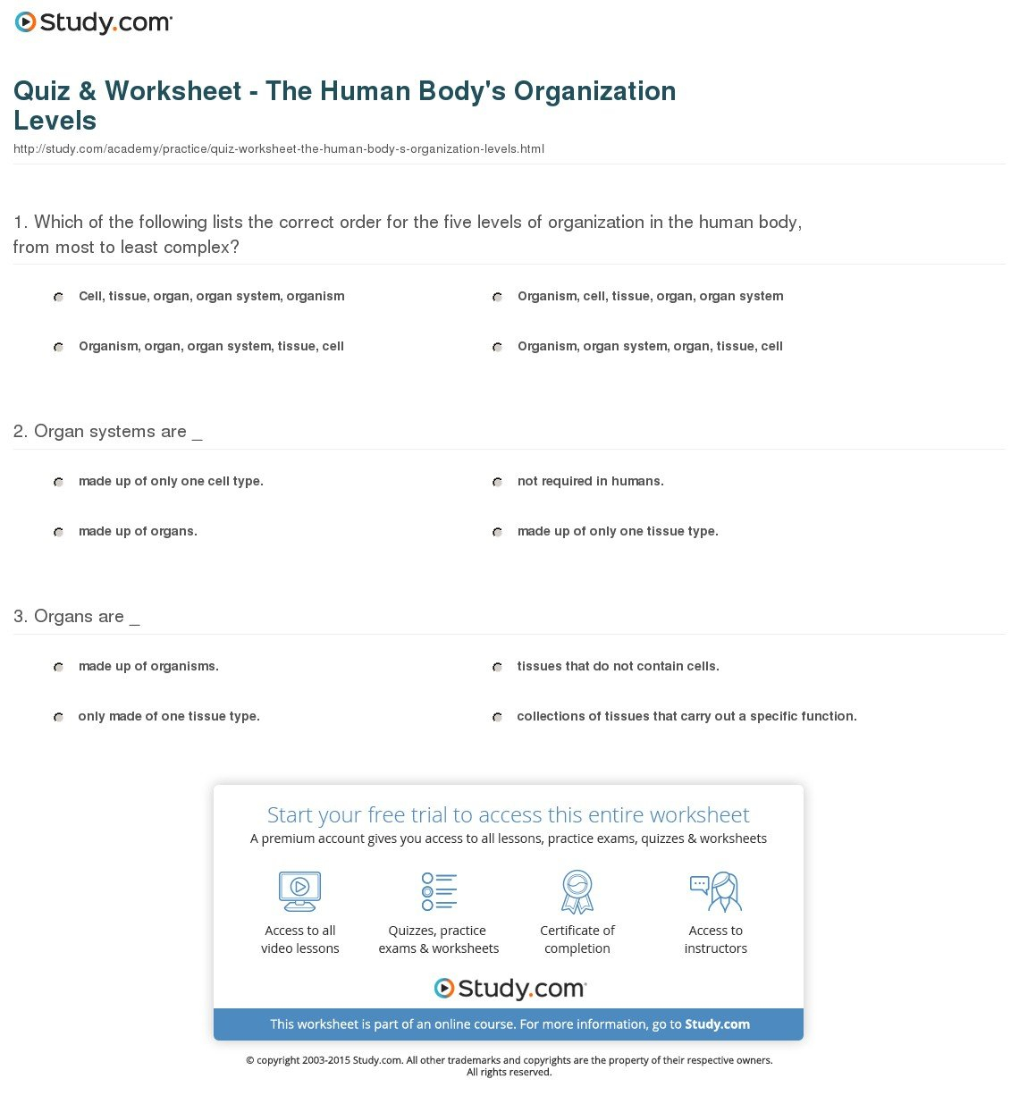 Quiz  Worksheet  The Human Body's Organization Levels  Study As Well As Levels Of Organization Worksheet Answers