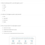 Quiz  Worksheet  The Human Digestive System  Study Throughout The Human Digestive System Worksheet Answers