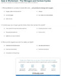 Quiz  Worksheet  The Nitrogen And Carbon Cycles  Study Within Nitrogen Cycle Worksheet Answer Key