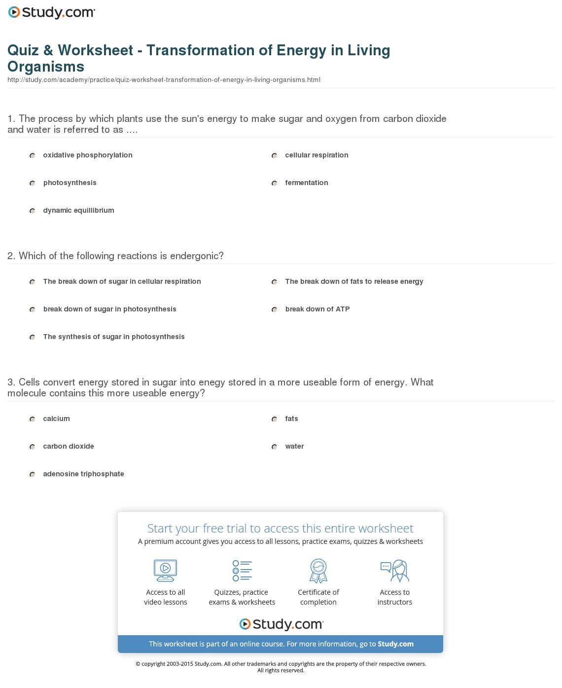 Quiz  Worksheet  Transformation Of Energy In Living Organisms Throughout Energy For Life Worksheet