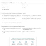 Quiz  Worksheet  Translational Vs Rotational Motion  Study And Rotational Motion Worksheet Answer Key