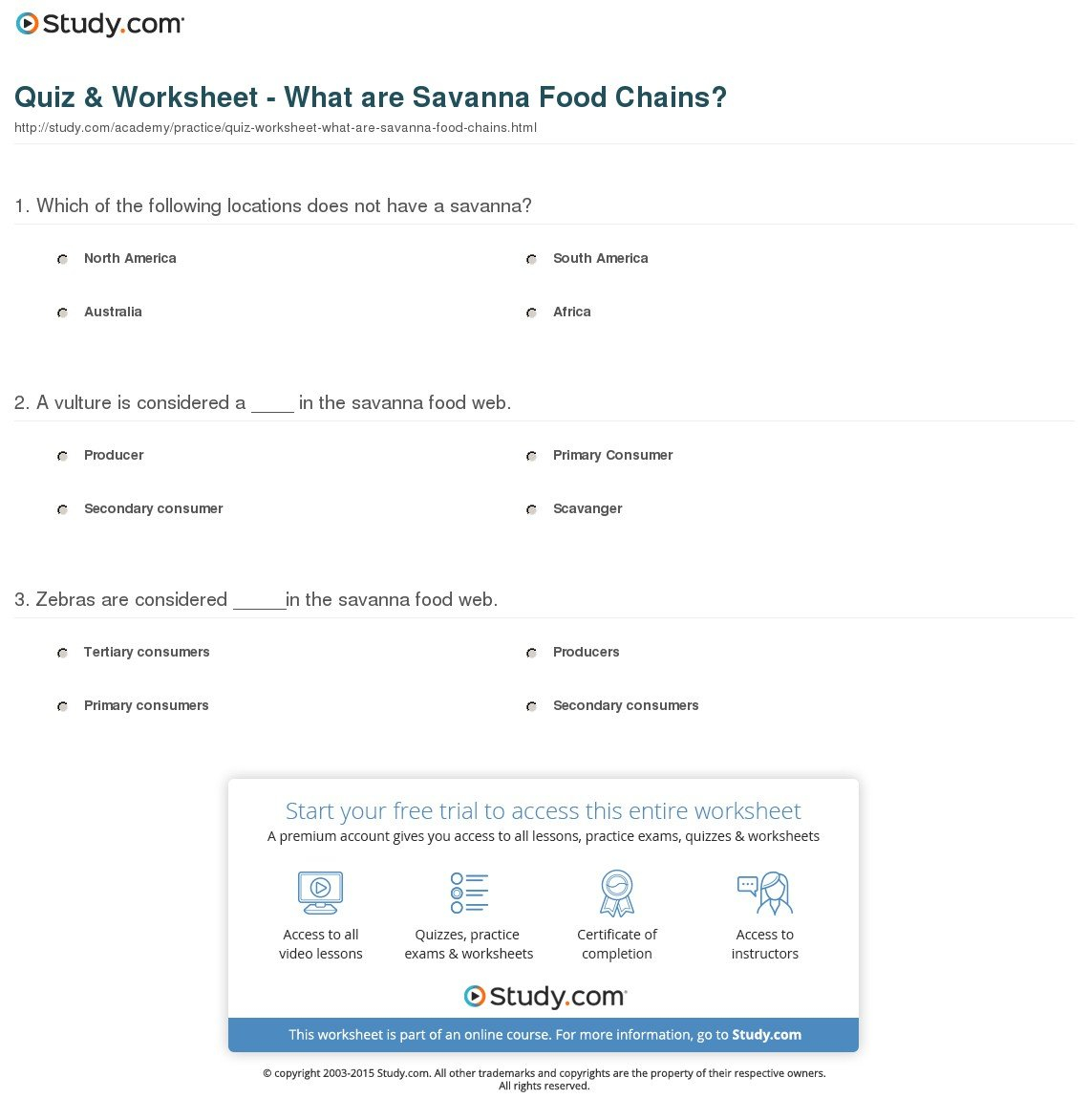 Quiz  Worksheet  What Are Savanna Food Chains  Study Together With Food Web Practice Worksheet