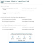 Quiz  Worksheet  What Is The Tropical Forest Food Web  Study Or Food Chains And Webs Worksheet