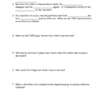 Reaction Rates Worksheet And Enzyme Reaction Rates Worksheet