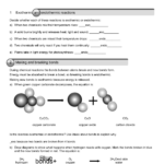 Reactions In Endothermic And Exothermic Reaction Worksheet Answers